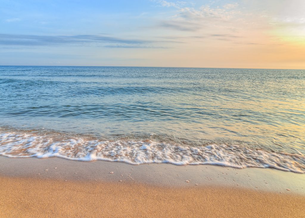 NESB project partner online meeting featured image