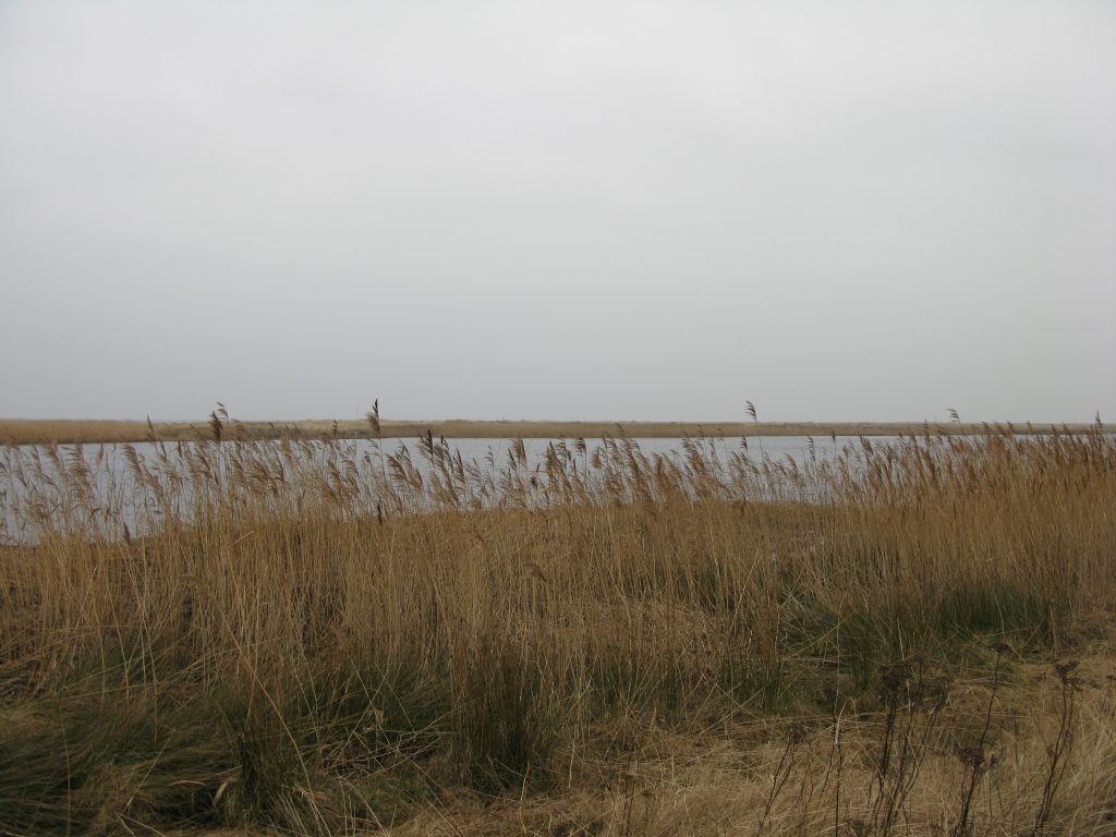 VASAB workshop “The Connected Society – a Baltic Smart Cities Workshop”, Skanör featured image