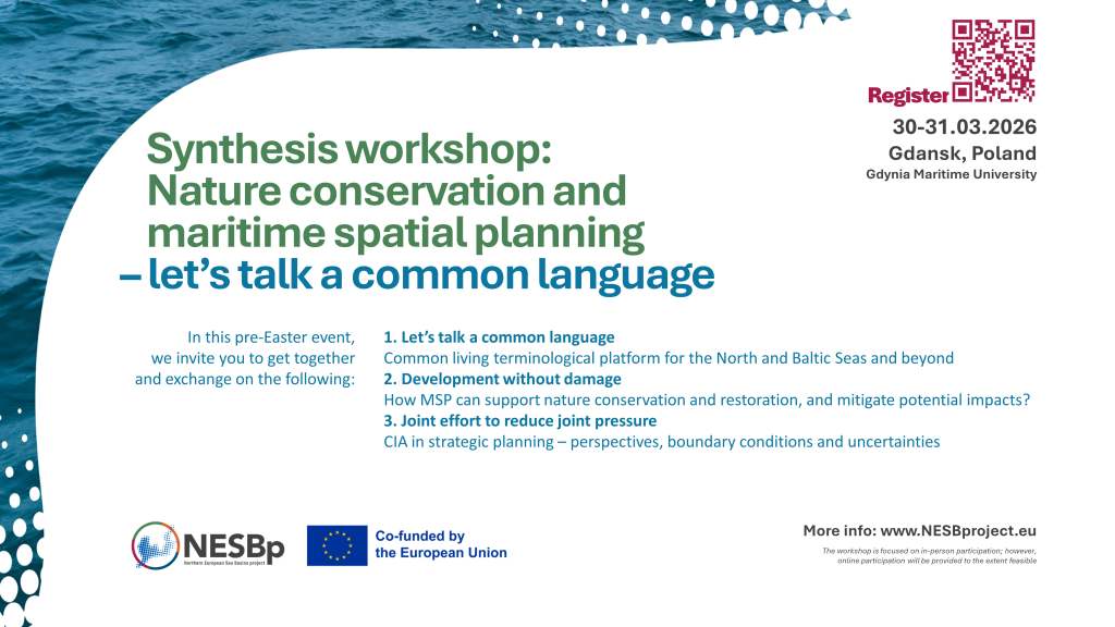 Synthesis Workshop: Nature Conservation and MSP featured image